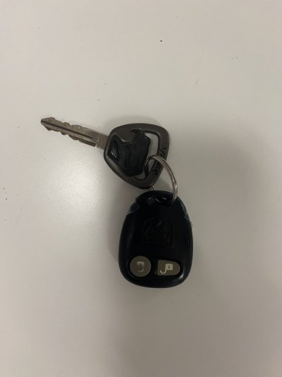 viper key and remote.jpeg