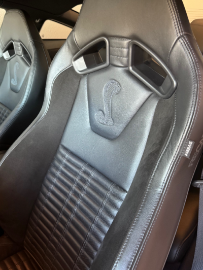 GT500 Recaro Seats Air Bag.png