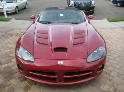 viper 303.jpg