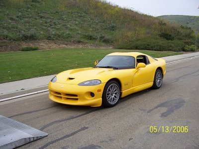 yellow viper.jpg